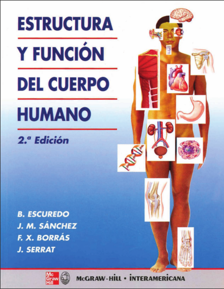 Huesos - Concepto, tipos, función, estructura y cuerpo humano